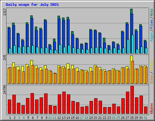 Daily usage for July 2021