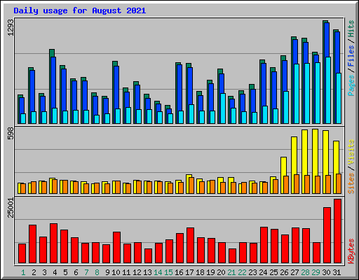 Daily usage for August 2021